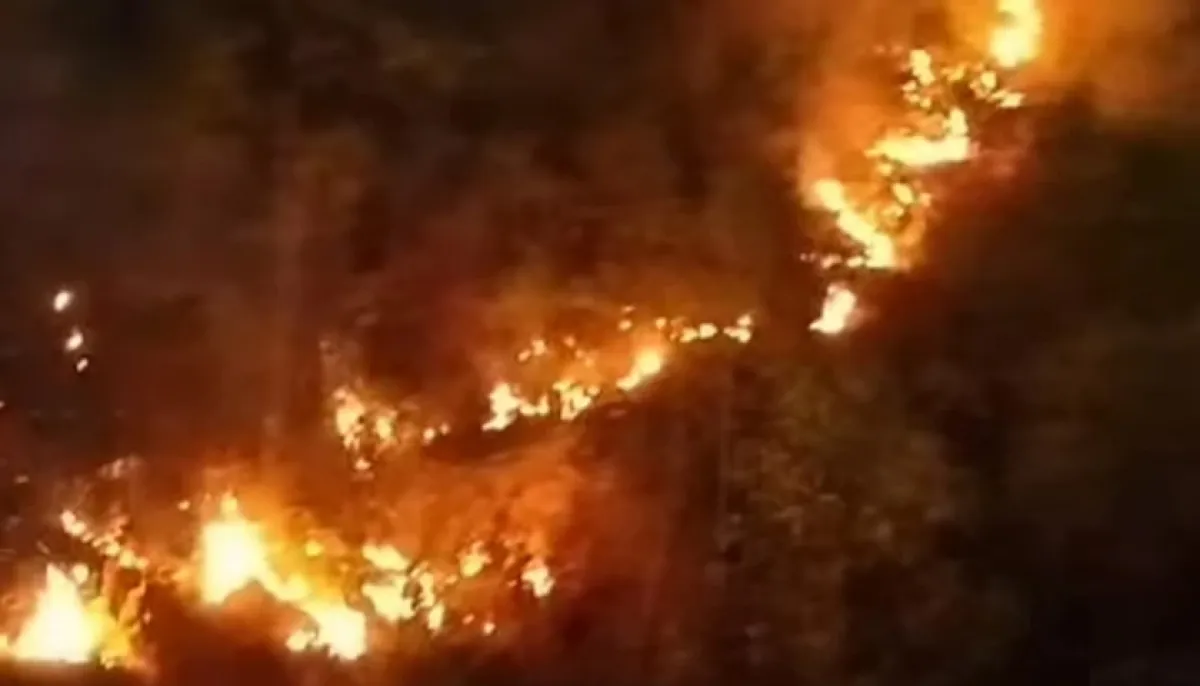 সিলেটে এমসি কলেজের টিলায় আগুন